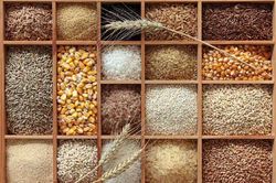 Top 10 loại ngũ cốc nguyên chất rất tốt cho sức khỏe