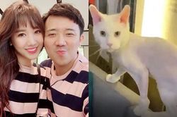 Hari Won khiến Trấn Thành sốc nặng, lập tức bị bắt 'ra tòa' hỏi tội vì điều này