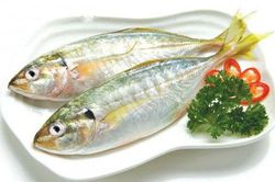 Sự thật thú vị về loài cá ba thú nổi tiếng ở Phú Quốc