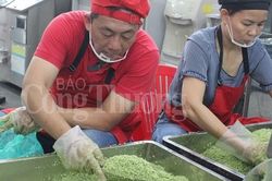 Cận cảnh gói bánh chưng bằng máy tại Sài Gòn