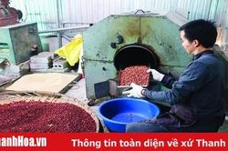 Ứng dụng khoa học công nghệ để nâng tầm sản phẩm OCOP