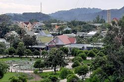 Như một già làng