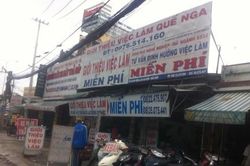 Cuối năm doanh nghiệp 'đỏ mắt' tìm lao động