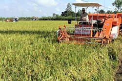 Sóc Trăng tận dụng lợi thế phát triển nông nghiệp