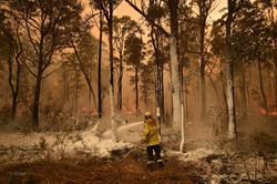 WMO khẳng định biến đổi khí hậu là yếu tố gây cháy rừng tại Australia