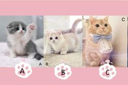 Trắc nghiệm: Điều người khác nghĩ về bạn nhưng không nói ra