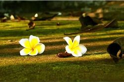 Khi có tiền 5 người không kết giao, khi khốn khó 5 người đừng cầu cạnh