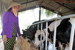 Đồng bào Khmer nỗ lực xây dựng nông thôn mới