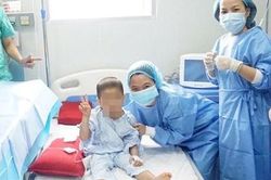 Bệnh nhi 4 tuổi được cứu sống bằng ghép tế bào gốc