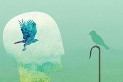 'Năm tháng không buông tha một ai, đặc biệt là phụ nữ, cơ hội không chờ đợi một ai, đặc biệt là đàn ông.'