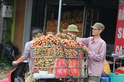 Mở 'những cánh cửa xuất khẩu mới' cho vải thiều Việt Nam