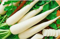 Củ cải trắng: Lợi ích từ làm đẹp đến chữa bệnh