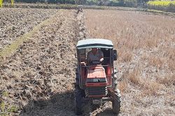 Chú trọng phát triển nông nghiệp ngay từ đầu năm