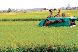 Đảng bộ xã Lương Lỗ lãnh đạo phát triển kinh tế