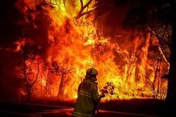 Thảm họa cháy rừng khiến kinh tế Australia lao đao