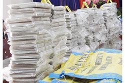 Quyết liệt trên mặt trận phòng, chống tội phạm ma túy