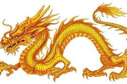 Tử vi người tuổi Thìn năm 2020