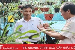 Thầy giáo trường làng Hà Tĩnh mê thuần hóa lan rừng