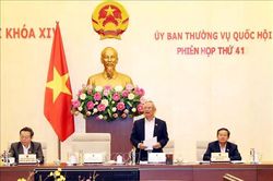Thông qua việc sắp xếp, thành lập đơn vị hành chính thuộc 18 tỉnh, thành phố