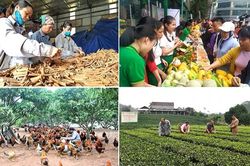 Xây dựng con người hài hòa với phát triển kinh tế