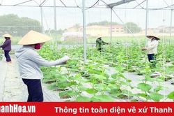 Đảng bộ huyện Thọ Xuân làm tốt công tác chuẩn bị cho đại hội đảng các cấp