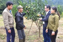 Người cao tuổi tham gia phát triển kinh tế
