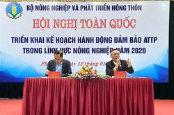 Cả nước đã xây dựng 1.514 chuỗi liên kết nông sản từ sản xuất đến tiêu thụ
