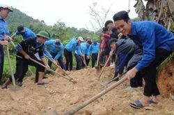 Chủ động, sáng tạo tham gia xây dựng nông thôn mới