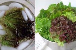 Loại gia vị quen thuộc có thể hô biến rau héo trở thành tươi rói, chị em đã biết chưa