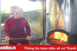 Nhân rộng mô hình trồng cây sả chanh ở Thành Vinh