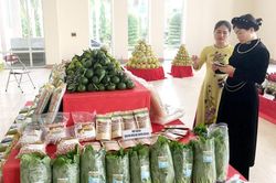 Sớm hỗ trợ tiêu chuẩn hóa các sản phẩm nông nghiệp