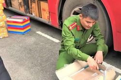 Một tấn gỗ trắc trong ngăn bí mật của xe khách
