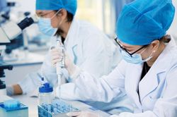 Trung Quốc sẽ chia sẻ thông tin chủng virus corona mới với WHO