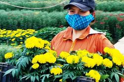 Xứ Huế bất ngờ bội thu… hoa