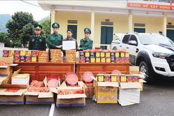 Dùng xe bán tải chở 22 thùng pháo lậu