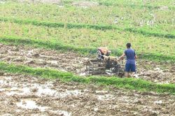 Bắc Hà: Hơn 32% đất nông nghiệp được cơ giới hóa