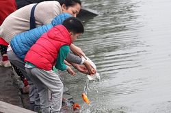 Chào tuần mới: Thông điệp của ông Táo