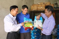 Phú Thọ: Triển khai chương trình 'Mỗi xã một sản phẩm' (OCOP)