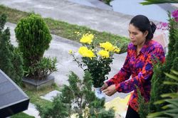 Người dân Thủ đô đưa con cháu lên Hòa Bình tảo mộ trước Tết