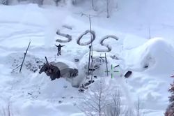 Mỹ: Một người sống sót sau hơn 20 ngày mắc kẹt trong tuyết ở Alaska