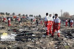 Iran phủ nhận 'che đậy' vụ bắn nhầm máy bay chở khách của Ukraine