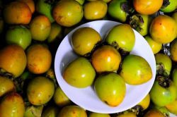 Chỉ cần ngâm vào thứ nước này, hồng không bị chát lại giòn tan, ngọt lịm