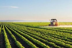 Xuất khẩu nông sản của EU sang Mỹ tăng vọt trước cơn bão thuế quan