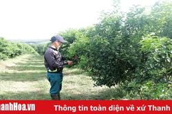 Đổi mới, nâng cao chất lượng sinh hoạt chi bộ ở xã Yên Lạc