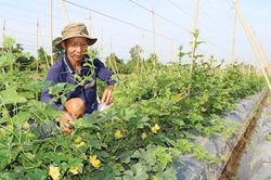 Tấm lòng thiện nguyện vì người nghèo