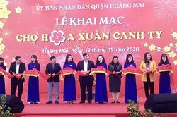 Hoàng Mai - Hà Nội: Chợ hoa tết khoe sắc xuân