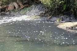Đắk Nông: Doanh nghiệp bị phạt nặng vì xả thải vượt quy chuẩn