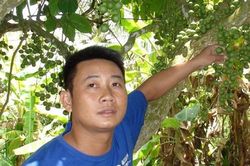 Bí ẩn cây cưa ra máu và đốt nhang không cháy