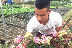 Anh bảo vệ 9X ham trồng hoa hồng, thu 450 triệu đồng/tháng