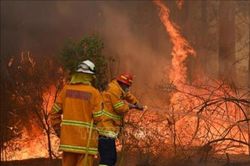 Định lượng 'được' và 'mất' của kinh tế Australia sau thảm họa cháy rừng lịch sử (Phần 1)